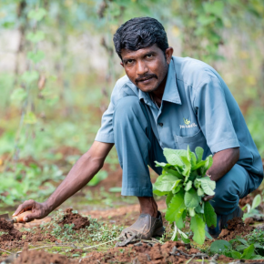 Farmer Success Story